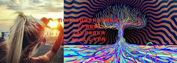 мет Снежногорск
